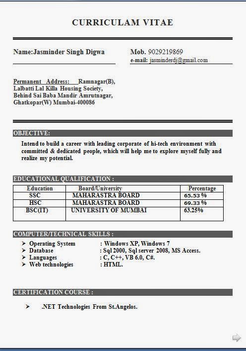 Bsc fresher resume format